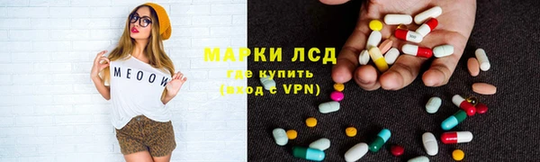 мдпв Рославль