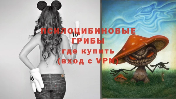 таблы Верхний Тагил