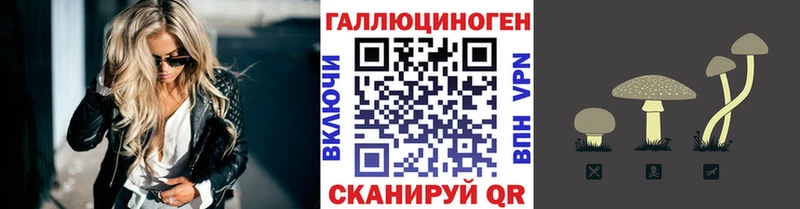 Галлюциногенные грибы мухоморы  маркетплейс как зайти  Динская 
